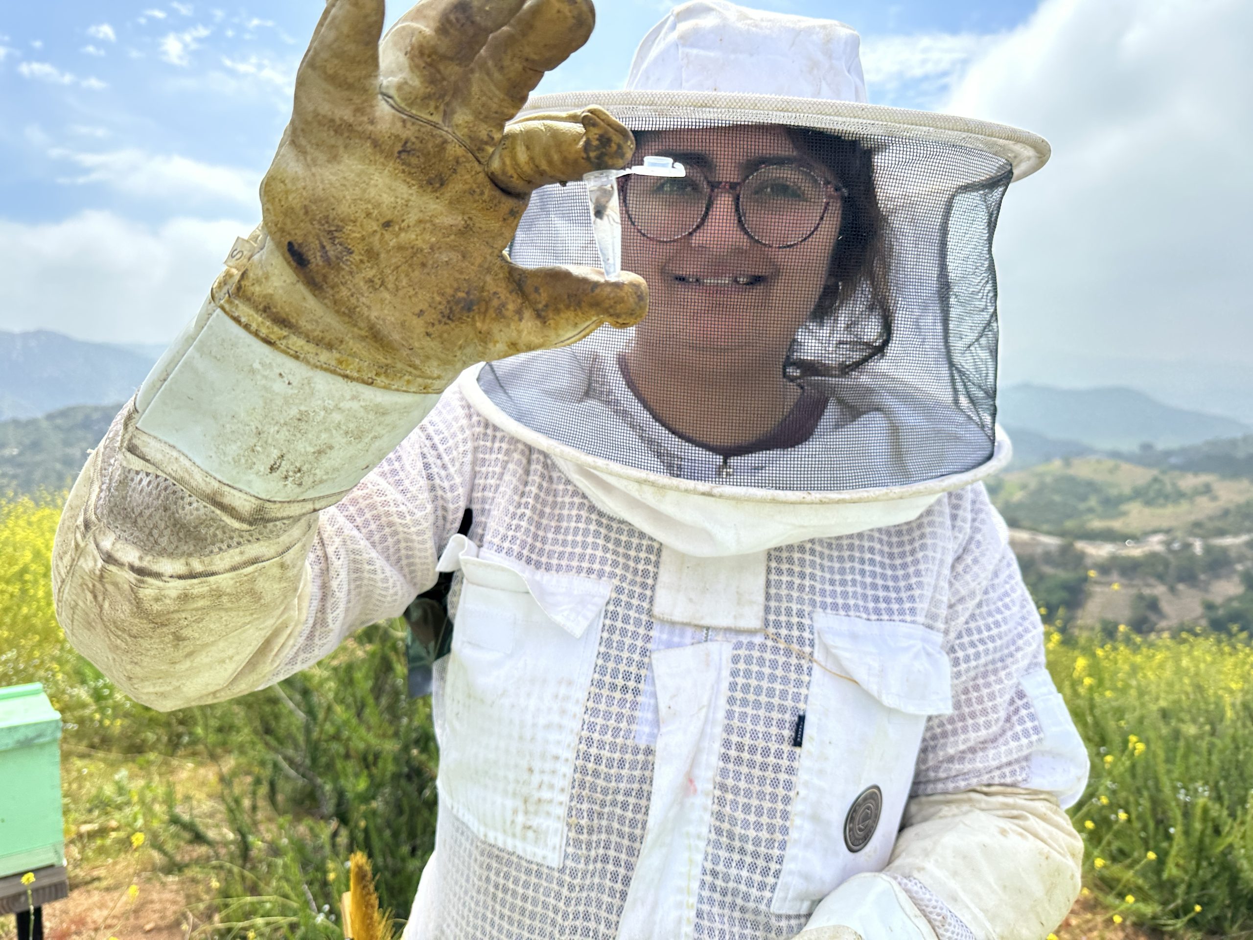 San Diego beekeepers see dozens of colonies die overnight - The